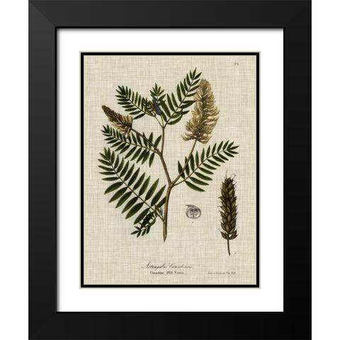 Linen and Leaves III Black Modern Wood Framed Art Print with Double Matting by Vision Studio
