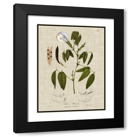 Linen and Leaves IV Black Modern Wood Framed Art Print with Double Matting by Vision Studio