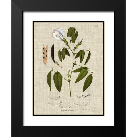 Linen and Leaves IV Black Modern Wood Framed Art Print with Double Matting by Vision Studio