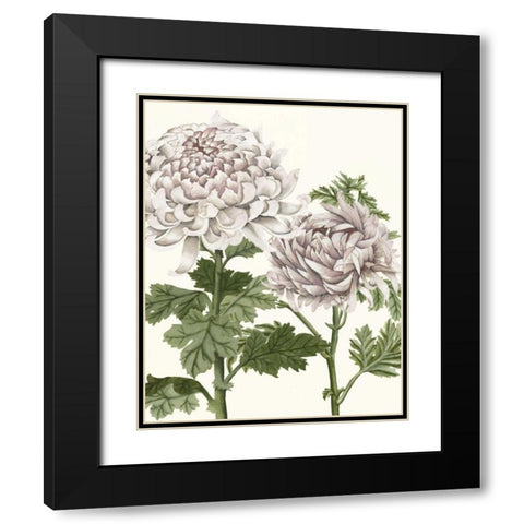 Early Spring Chrysanthemums III Black Modern Wood Framed Art Print with Double Matting by McCavitt, Naomi