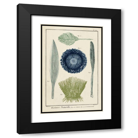 Ocean Oddity II Black Modern Wood Framed Art Print with Double Matting by Vision Studio