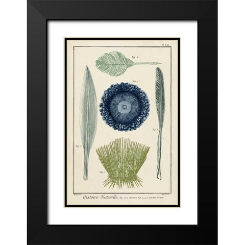 Ocean Oddity II Black Modern Wood Framed Art Print with Double Matting by Vision Studio