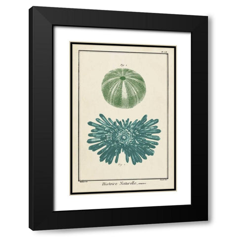 Ocean Oddity III Black Modern Wood Framed Art Print with Double Matting by Vision Studio