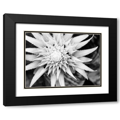 Botanical Under Cold Moonlight II Black Modern Wood Framed Art Print with Double Matting by Bane, Eva
