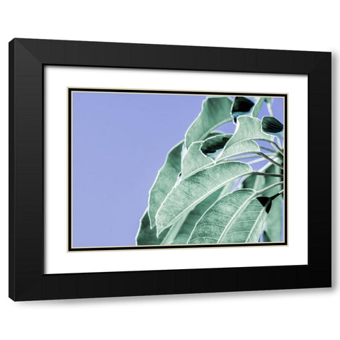 Clear Leaves on Blue I Black Modern Wood Framed Art Print with Double Matting by Bane, Eva