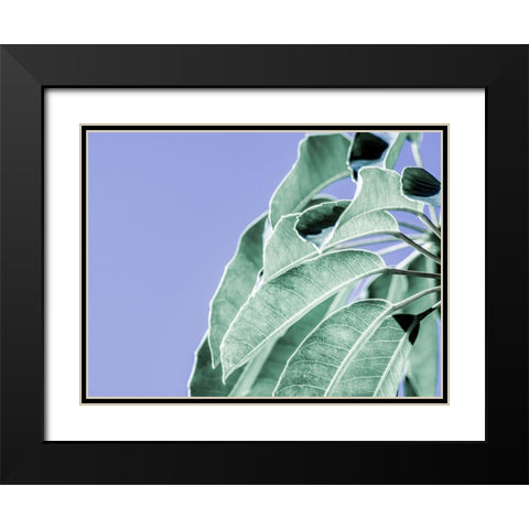 Clear Leaves on Blue I Black Modern Wood Framed Art Print with Double Matting by Bane, Eva