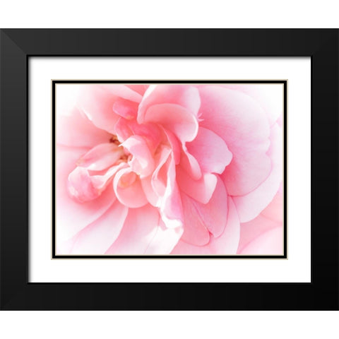 Pretty Pink Blooms IV Black Modern Wood Framed Art Print with Double Matting by Bane, Eva