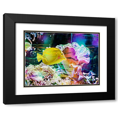 Vibrant Reef IV Black Modern Wood Framed Art Print with Double Matting by Bane, Eva