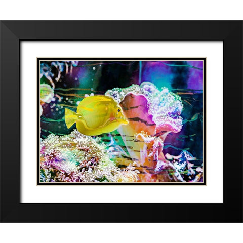 Vibrant Reef IV Black Modern Wood Framed Art Print with Double Matting by Bane, Eva