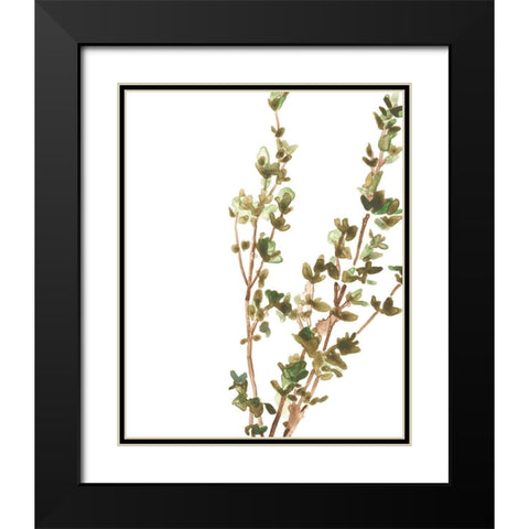 Earthtone Herbs II Black Modern Wood Framed Art Print with Double Matting by Vess, June Erica