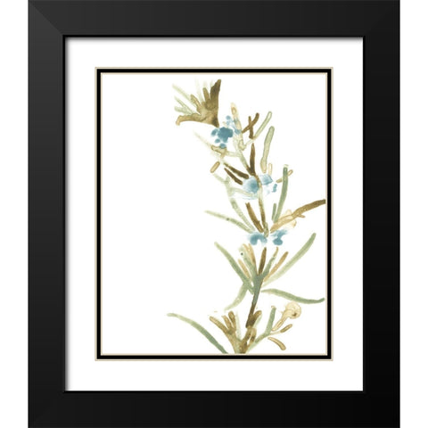 Earthtone Herbs III Black Modern Wood Framed Art Print with Double Matting by Vess, June Erica
