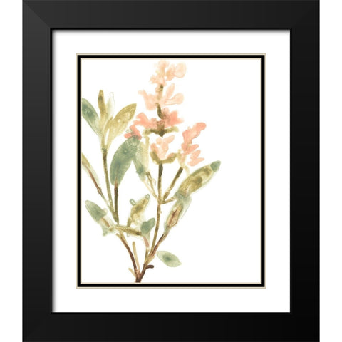 Earthtone Herbs IV Black Modern Wood Framed Art Print with Double Matting by Vess, June Erica