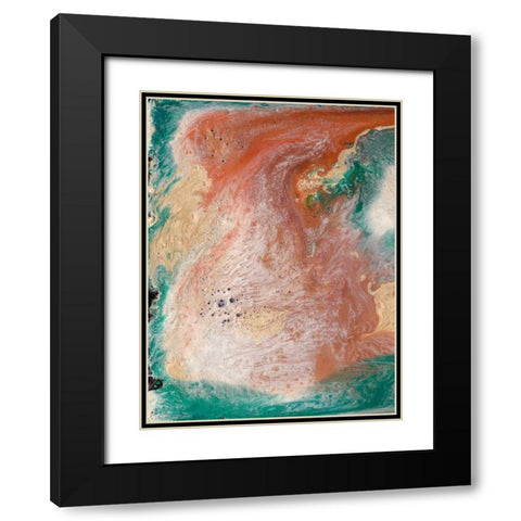 Coralline I Black Modern Wood Framed Art Print with Double Matting by Ludwig, Alicia