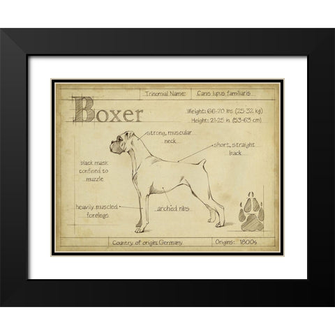 Antique Boxer (ASH) Black Modern Wood Framed Art Print with Double Matting by Harper, Ethan