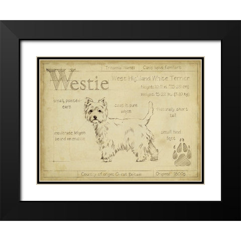 Antique Westie (ASH) Black Modern Wood Framed Art Print with Double Matting by Harper, Ethan