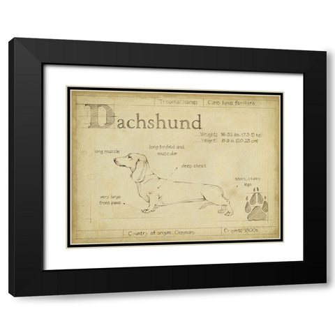 Antique Dachsund (ASH) Black Modern Wood Framed Art Print with Double Matting by Harper, Ethan