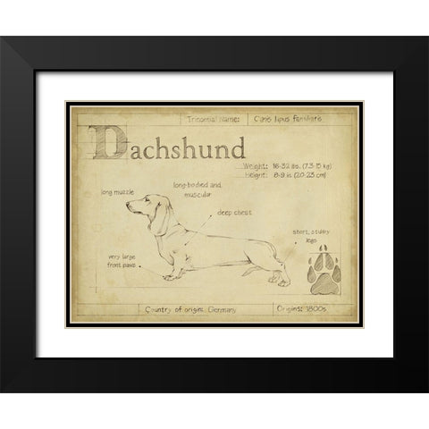 Antique Dachsund (ASH) Black Modern Wood Framed Art Print with Double Matting by Harper, Ethan