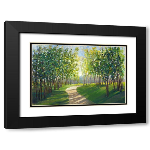 Walking Trail I Black Modern Wood Framed Art Print with Double Matting by OToole, Tim