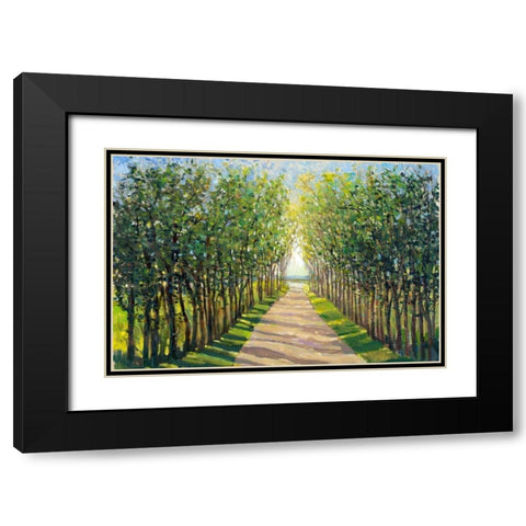 Walking Trail II Black Modern Wood Framed Art Print with Double Matting by OToole, Tim