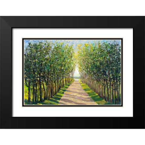 Walking Trail II Black Modern Wood Framed Art Print with Double Matting by OToole, Tim