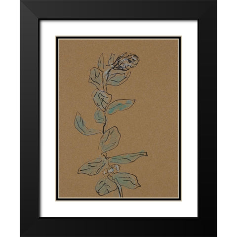 Little Plants of Big Sur XIV Black Modern Wood Framed Art Print with Double Matting by Delamater, Rob