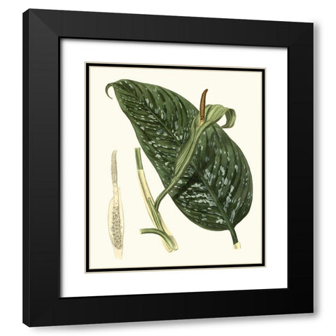 Grand Foliage I Black Modern Wood Framed Art Print with Double Matting by Vision Studio