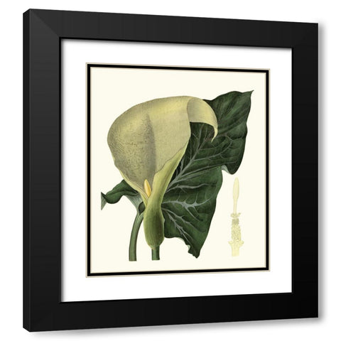 Grand Foliage III Black Modern Wood Framed Art Print with Double Matting by Vision Studio