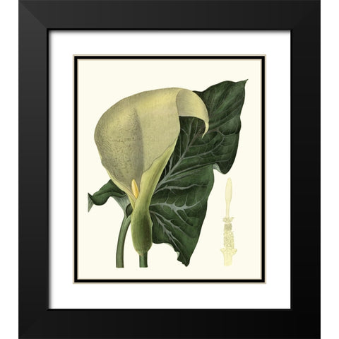 Grand Foliage III Black Modern Wood Framed Art Print with Double Matting by Vision Studio