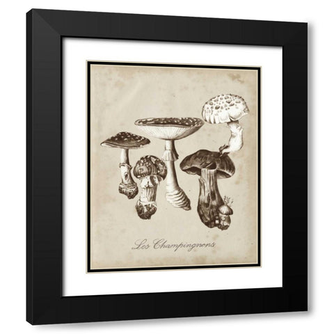 Les Champignons I Black Modern Wood Framed Art Print with Double Matting by McCavitt, Naomi