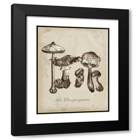 Les Champignons II Black Modern Wood Framed Art Print with Double Matting by McCavitt, Naomi