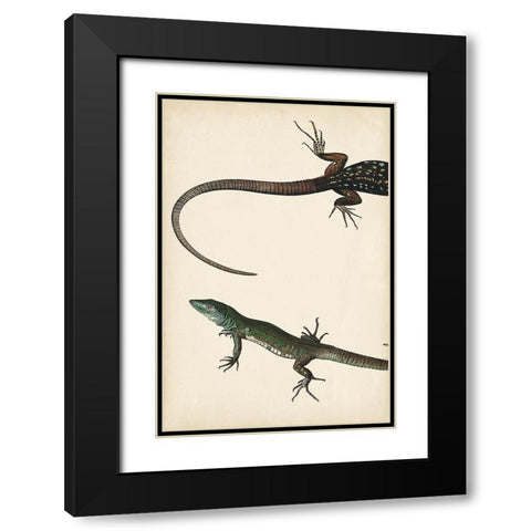 Lizard Diptych I Black Modern Wood Framed Art Print with Double Matting by Vision Studio