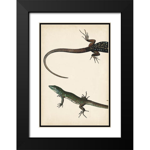 Lizard Diptych I Black Modern Wood Framed Art Print with Double Matting by Vision Studio