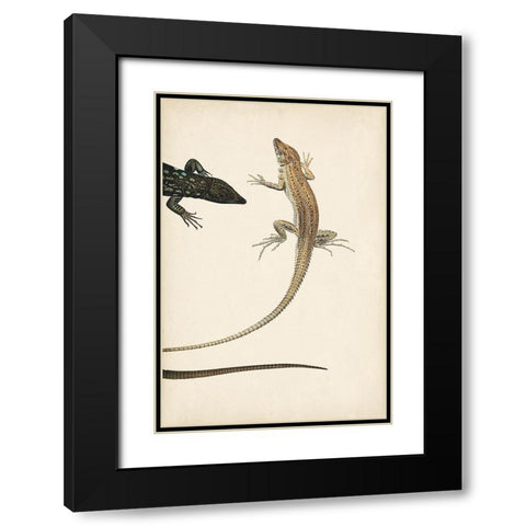 Lizard Diptych II Black Modern Wood Framed Art Print with Double Matting by Vision Studio