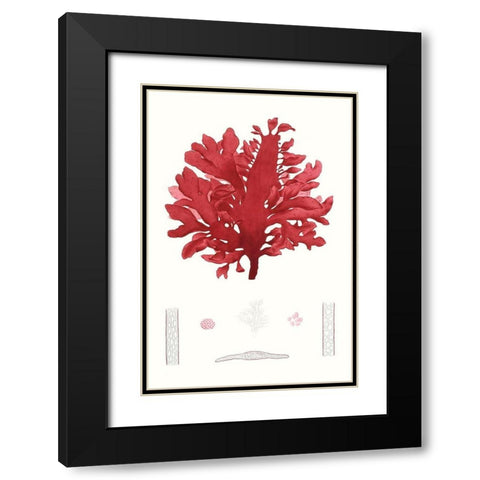 Striking Seaweed I Black Modern Wood Framed Art Print with Double Matting by Vision Studio