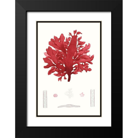 Striking Seaweed I Black Modern Wood Framed Art Print with Double Matting by Vision Studio