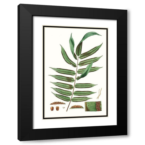 Fern Foliage I Black Modern Wood Framed Art Print with Double Matting by Vision Studio