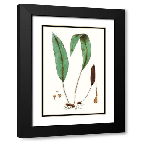 Fern Foliage III Black Modern Wood Framed Art Print with Double Matting by Vision Studio