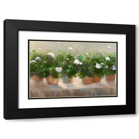 White Geraniums Black Modern Wood Framed Art Print with Double Matting by Finch, Sheila