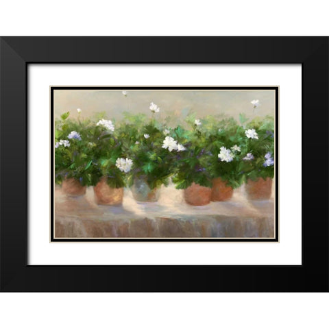 White Geraniums Black Modern Wood Framed Art Print with Double Matting by Finch, Sheila