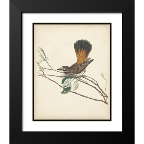 Graceful Birds II Black Modern Wood Framed Art Print with Double Matting by Vision Studio