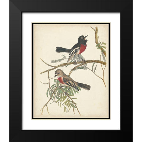 Graceful Birds IV Black Modern Wood Framed Art Print with Double Matting by Vision Studio