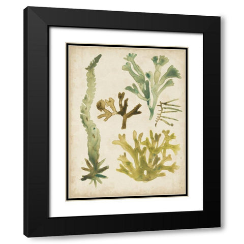 Vintage Sea Fronds I Black Modern Wood Framed Art Print with Double Matting by Vess, June Erica