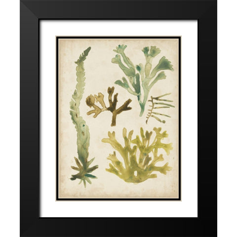 Vintage Sea Fronds I Black Modern Wood Framed Art Print with Double Matting by Vess, June Erica
