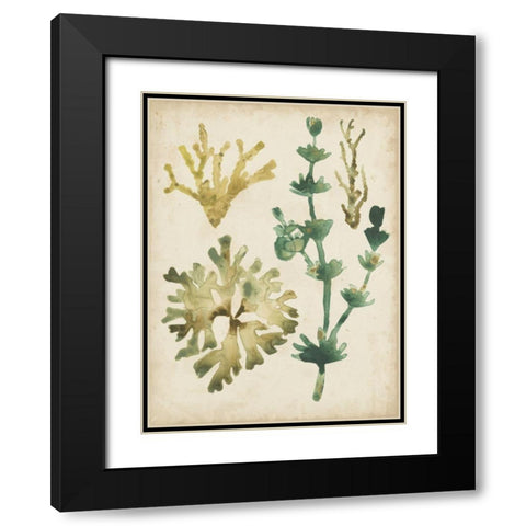 Vintage Sea Fronds II Black Modern Wood Framed Art Print with Double Matting by Vess, June Erica