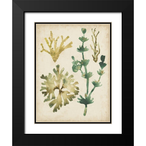 Vintage Sea Fronds II Black Modern Wood Framed Art Print with Double Matting by Vess, June Erica
