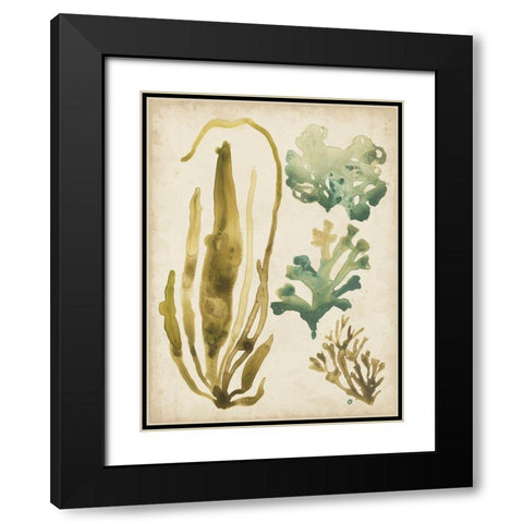 Vintage Sea Fronds III Black Modern Wood Framed Art Print with Double Matting by Vess, June Erica