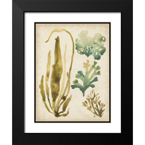 Vintage Sea Fronds III Black Modern Wood Framed Art Print with Double Matting by Vess, June Erica