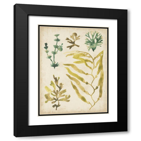Vintage Sea Fronds IV Black Modern Wood Framed Art Print with Double Matting by Vess, June Erica