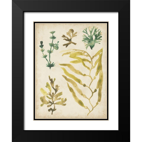 Vintage Sea Fronds IV Black Modern Wood Framed Art Print with Double Matting by Vess, June Erica