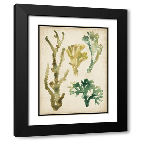 Vintage Sea Fronds V Black Modern Wood Framed Art Print with Double Matting by Vess, June Erica